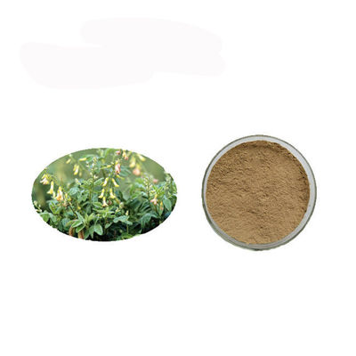 Κίνα Astragalus πολυσακχαριτών καρκίνου υψηλής αγνότητας αντι σκόνη αποσπασμάτων προμηθευτής