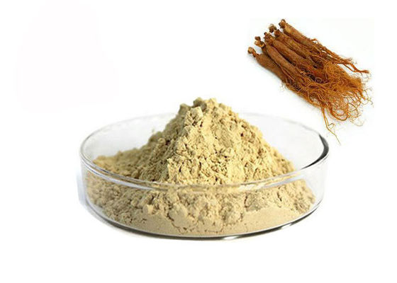 Κίνα Κόκκινο Ginseng απόσπασμα 10% Ginsenosides προμηθευτής