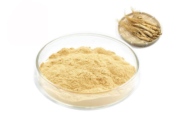 Κίνα Οργανικό σιβηρικό καθαρό Ginseng απόσπασμα ρίζας 30% 80% Ginsenosides προμηθευτής