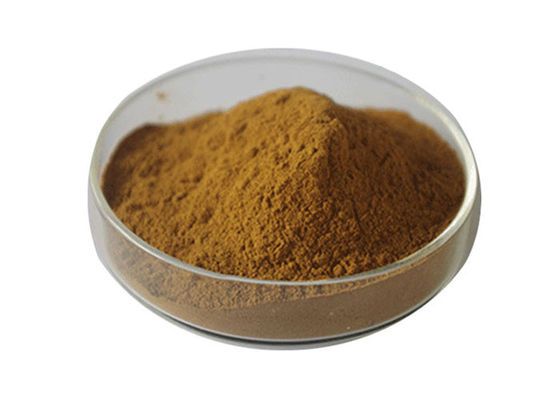 Οργανική σκόνη Ginkgo Biloba βαθμού USP προμηθευτής