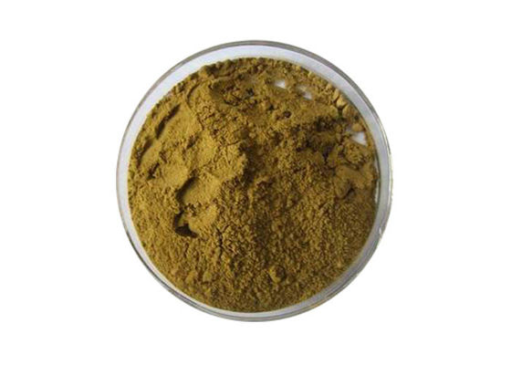 24% Flavones 6% καθαρή φυσική σκόνη αποσπασμάτων Ginkgo Biloba λακτονών προμηθευτής