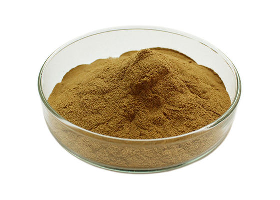 Μαζική σκόνη Ginkgo Biloba πίεσης του αίματος Owering προμηθευτής