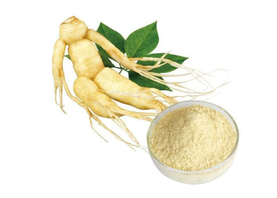 Καθαρή βοτανική Ginseng σκόνη ρίζας CAS 90045-38-8 80% Ginsenosides προμηθευτής