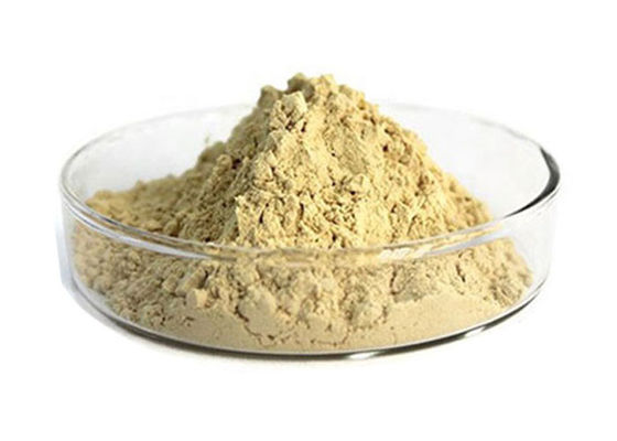 Καθαρή βοτανική Ginseng σκόνη ρίζας CAS 90045-38-8 80% Ginsenosides προμηθευτής