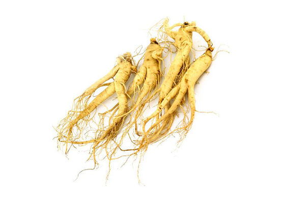 Ανοικτό κίτρινο Ginseng 30% Ginsenosides σκόνη αποσπασμάτων αντι γήρανσης προμηθευτής
