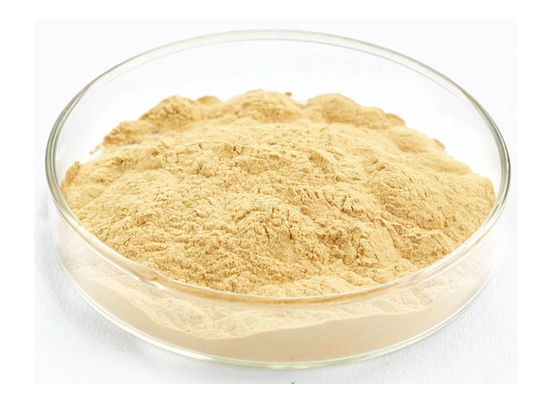 Βαθμός τροφίμων σκόνη αποσπασμάτων Panaxoside Ginseng για τα προϊόντα υγείας προμηθευτής