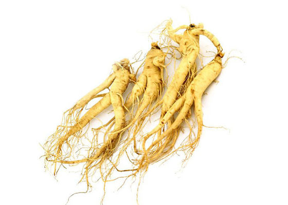 Βαθμός τροφίμων σκόνη αποσπασμάτων Panaxoside Ginseng για τα προϊόντα υγείας προμηθευτής
