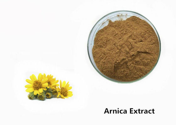 Arnica σκόνη εκχυλισμάτων φυτού προμηθευτής