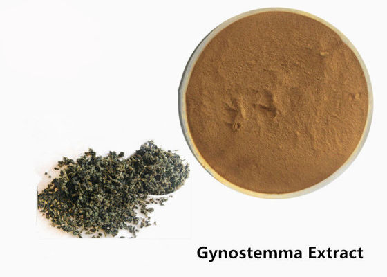Βοτανική σκόνη αποσπασμάτων Gynostemma αντι όγκων βαθμού τροφίμων προμηθευτής