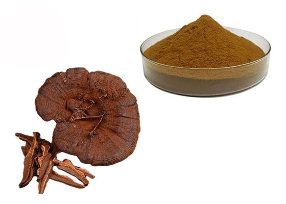 50% σκόνη εκχυλισμάτων μανιταριών Ganoderma Lucidum Reishi αγνότητας προμηθευτής