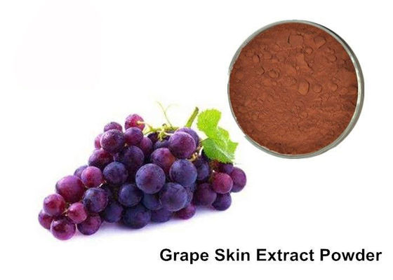 25% καθαρές Grapeseed ανθοκυανών/σκόνη αποσπασμάτων δερμάτων σταφυλιών προμηθευτής