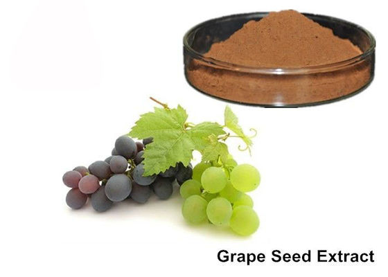 25% καθαρές Grapeseed ανθοκυανών/σκόνη αποσπασμάτων δερμάτων σταφυλιών προμηθευτής
