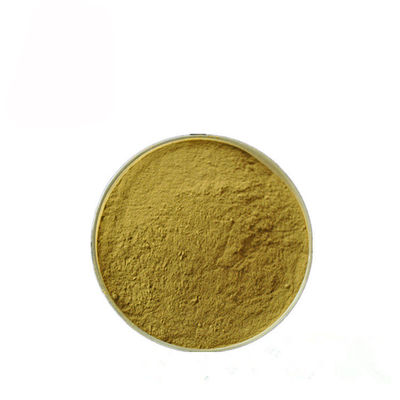 Gymnema Sylvestre Leaf Anthocyanin Extract Powder για το φαρμακευτικό είδος προμηθευτής