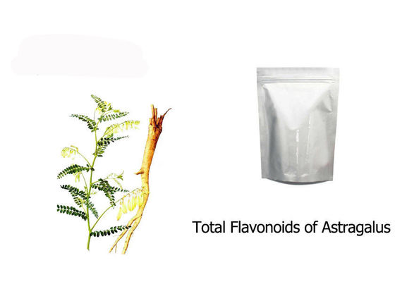 Ξηρό Astragalus απόσπασμα ρίζας Membranaceus προμηθευτής