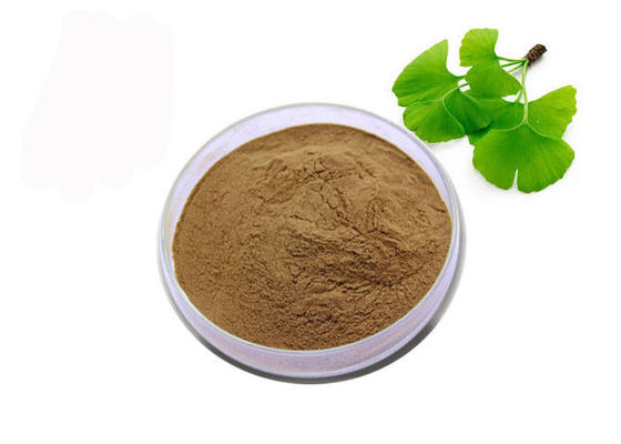 Οργανική σκόνη Ginkgo Biloba βαθμού USP προμηθευτής