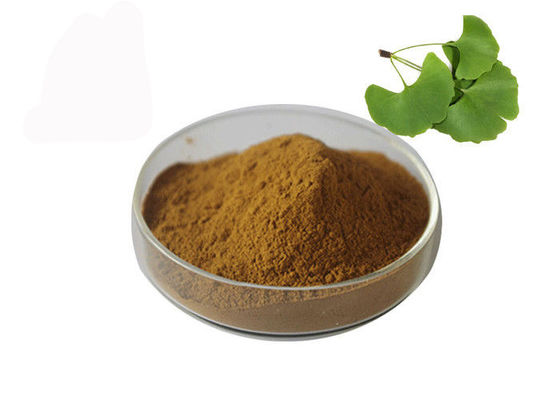 Μαζική σκόνη Ginkgo Biloba πίεσης του αίματος Owering προμηθευτής