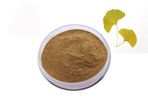 24% Flavones 6% καθαρή φυσική σκόνη αποσπασμάτων Ginkgo Biloba λακτονών προμηθευτής