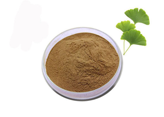 Ρυθμίστε τυποποιημένο Biloba απόσπασμα Ginkgo αίματος το παχύ 24/6 προμηθευτής