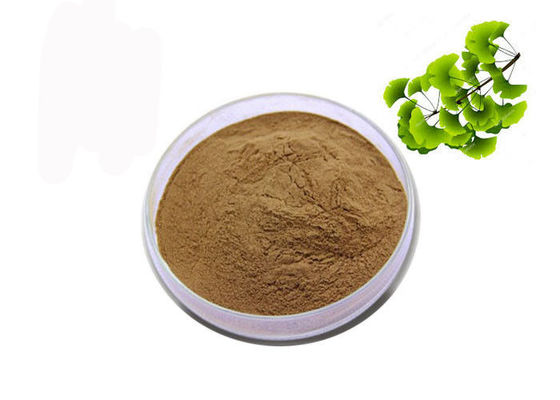 Σκόνη αποσπασμάτων Ginkgo Biloba φύλλων CAS 90045-36-6 οργανική ξηρά προμηθευτής