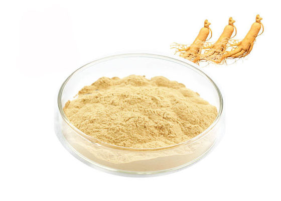 Φυσική σκόνη αποσπασμάτων Ginseng προμηθευτής
