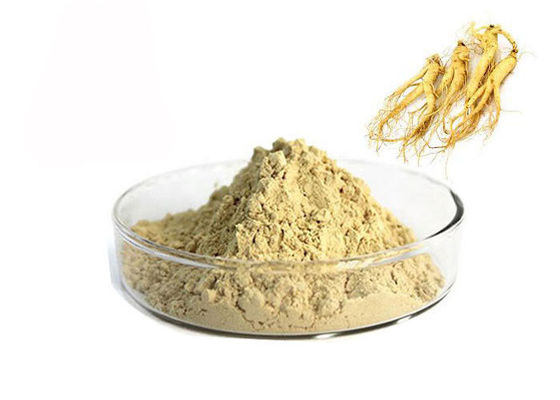 Φαρμακευτική 80% Panax σκόνη αποσπασμάτων Ginseng ρίζας φυσική προμηθευτής