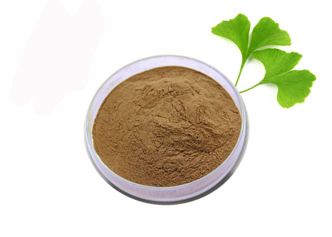 Ρυθμίστε τυποποιημένο Biloba απόσπασμα Ginkgo αίματος το παχύ 24/6 0