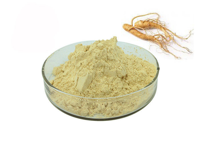 Ανοικτό κίτρινο Ginseng 30% Ginsenosides σκόνη αποσπασμάτων αντι γήρανσης 0